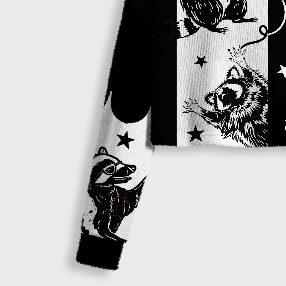 Purplehecate Galactic Raccoon Club Crop Fuzzy Ugly Sweatshirt