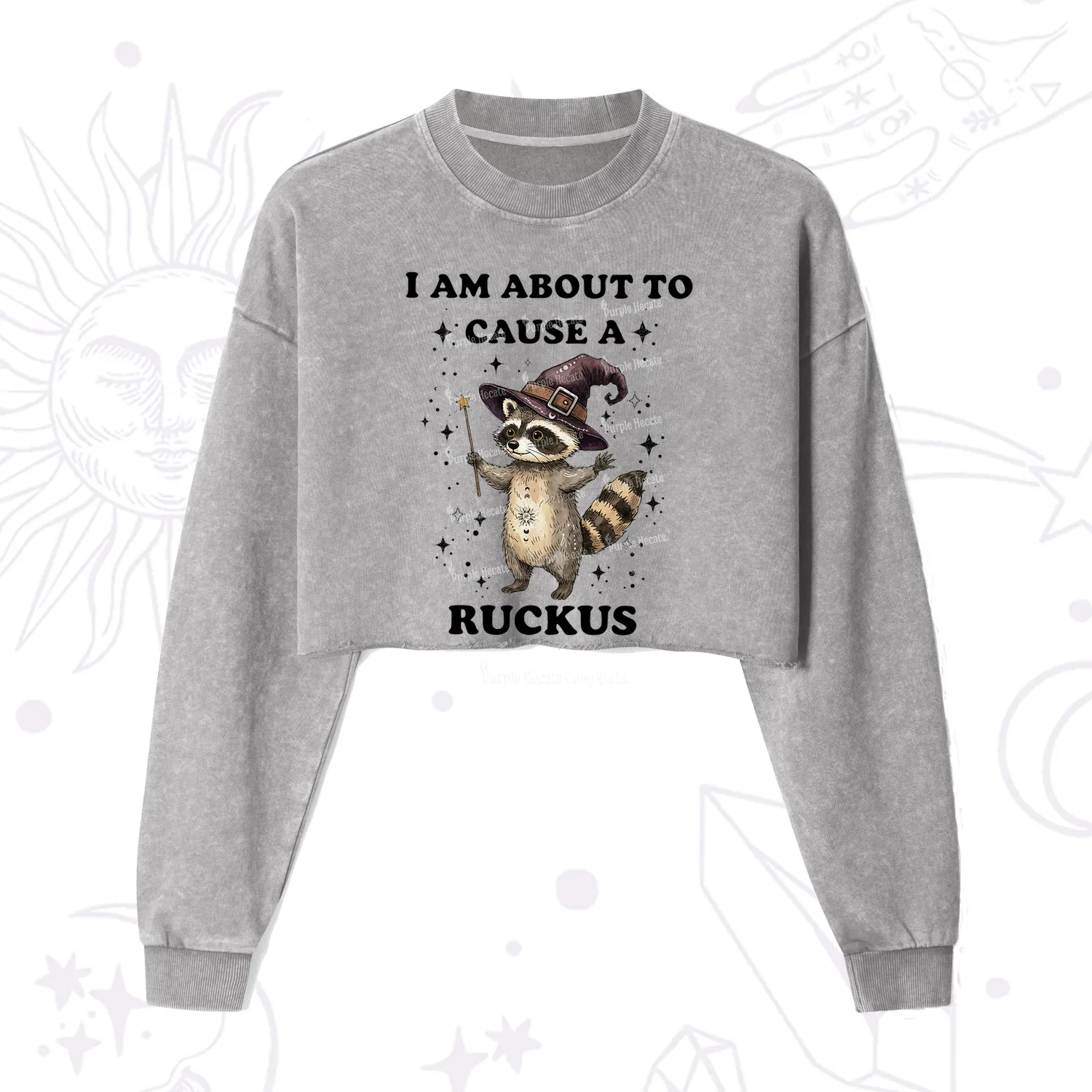 Purplehecate I Am About To Cause A Ruckus Cropped Washed Sweatshirt