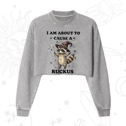 Purplehecate I Am About To Cause A Ruckus Cropped Washed Sweatshirt
