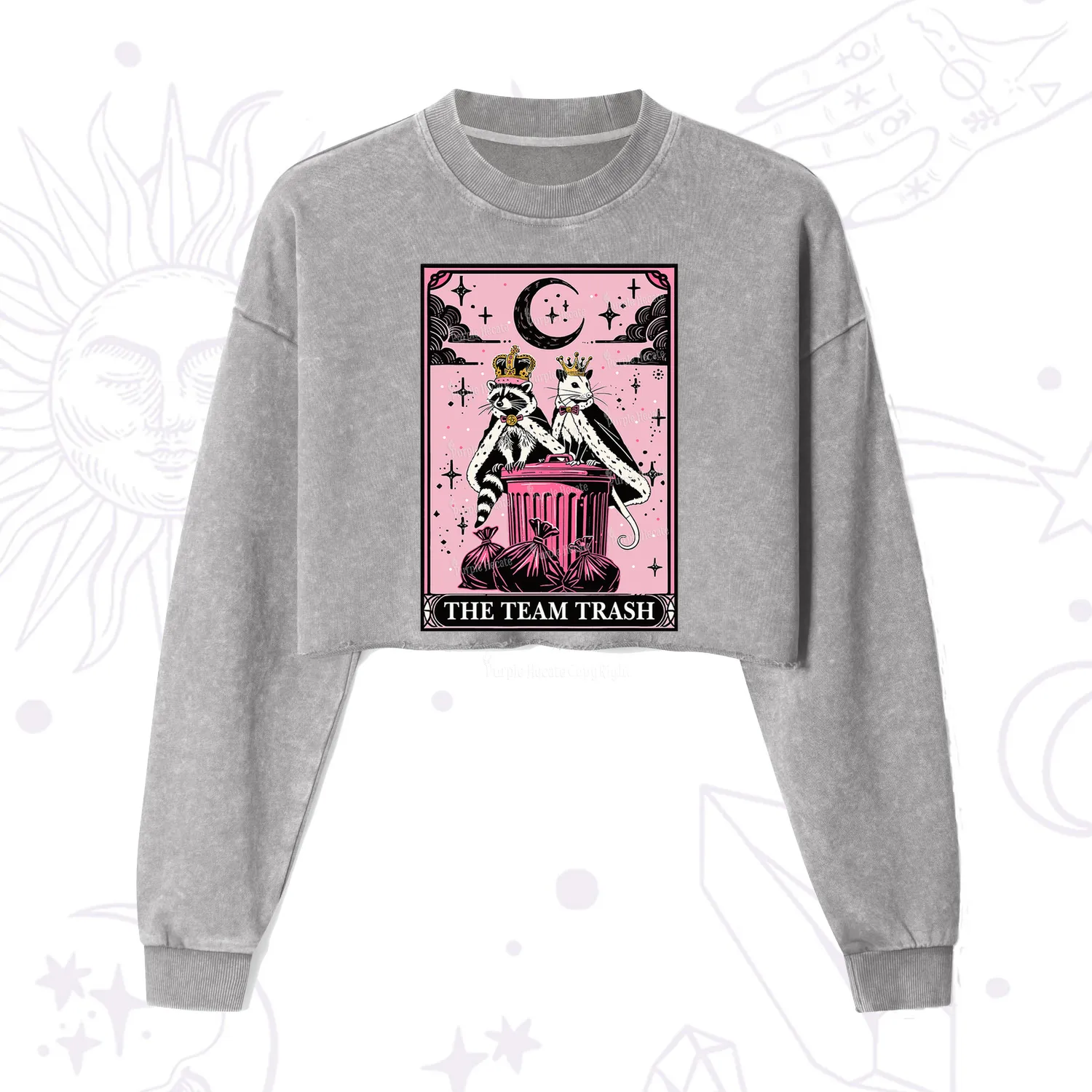 Purplehecate The Trash Kingdom's Tarot Opossum and Raccoon Cropped Washed Sweatshirt