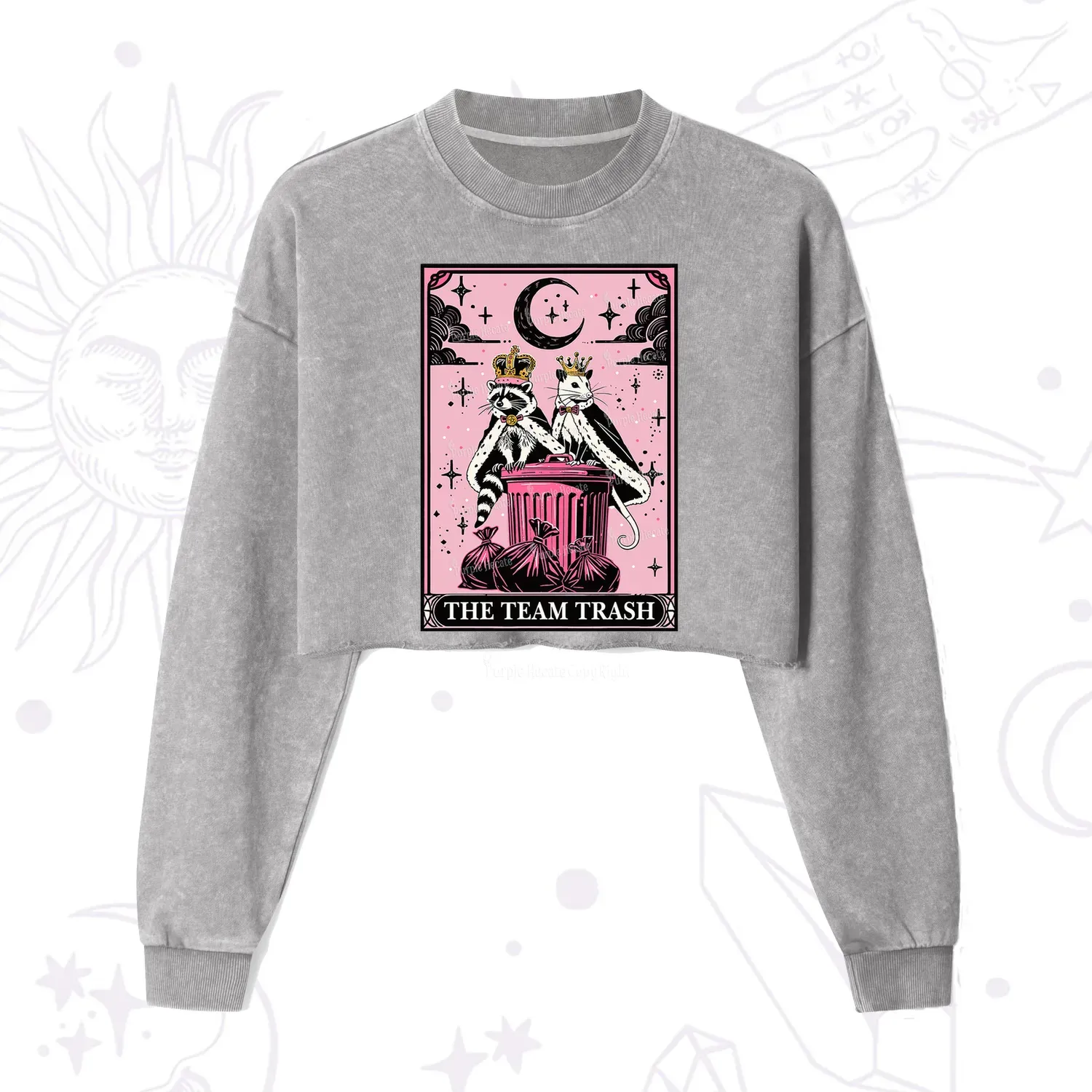 Purplehecate The Trash Kingdom's Tarot Opossum and Raccoon Cropped Washed Sweatshirt