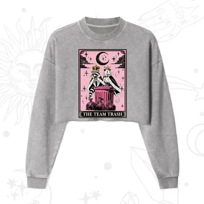 Purplehecate The Trash Kingdom's Tarot Opossum and Raccoon Cropped Washed Sweatshirt