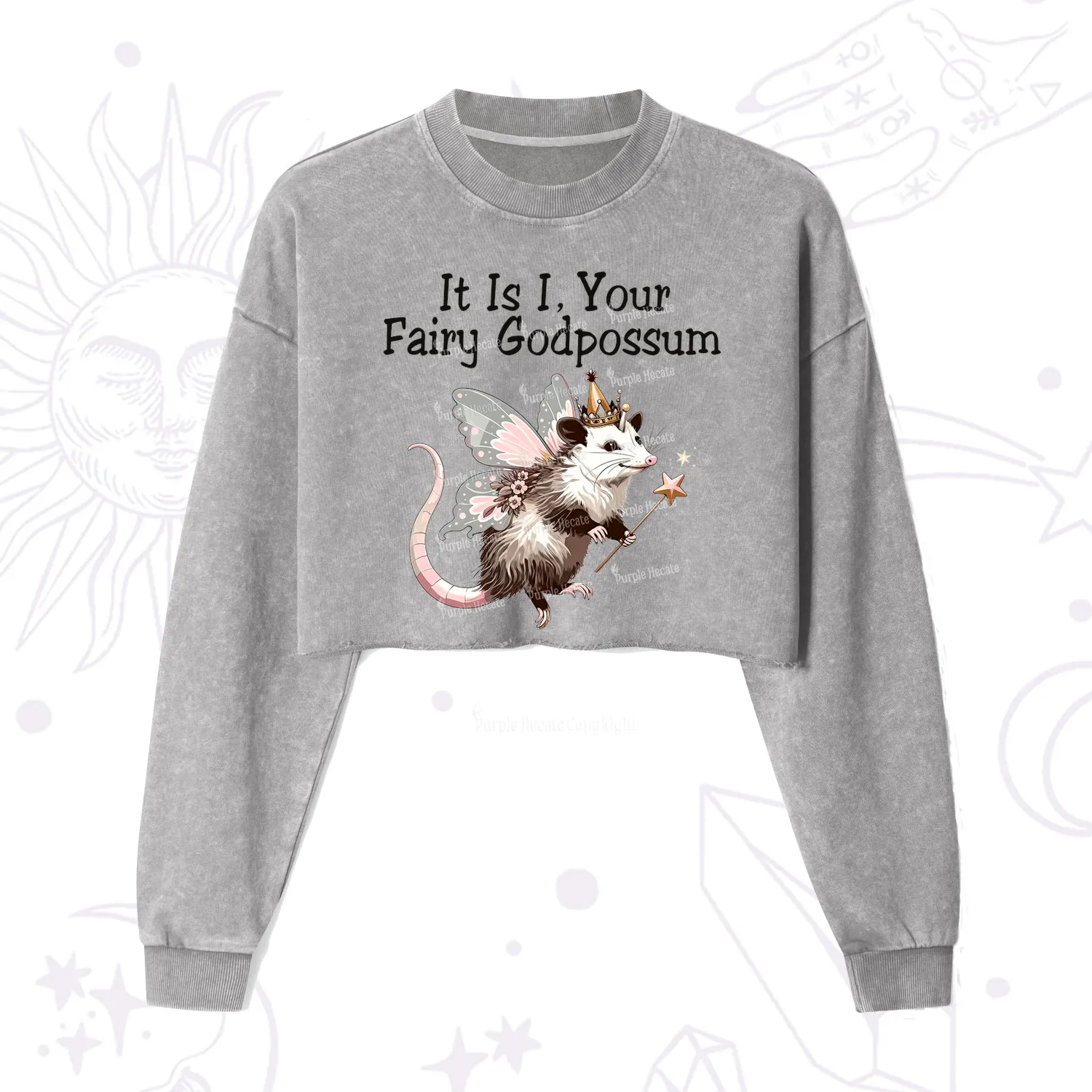 Purplehecate It Is I Your Fairy Godpossum Cropped Washed Sweatshirt