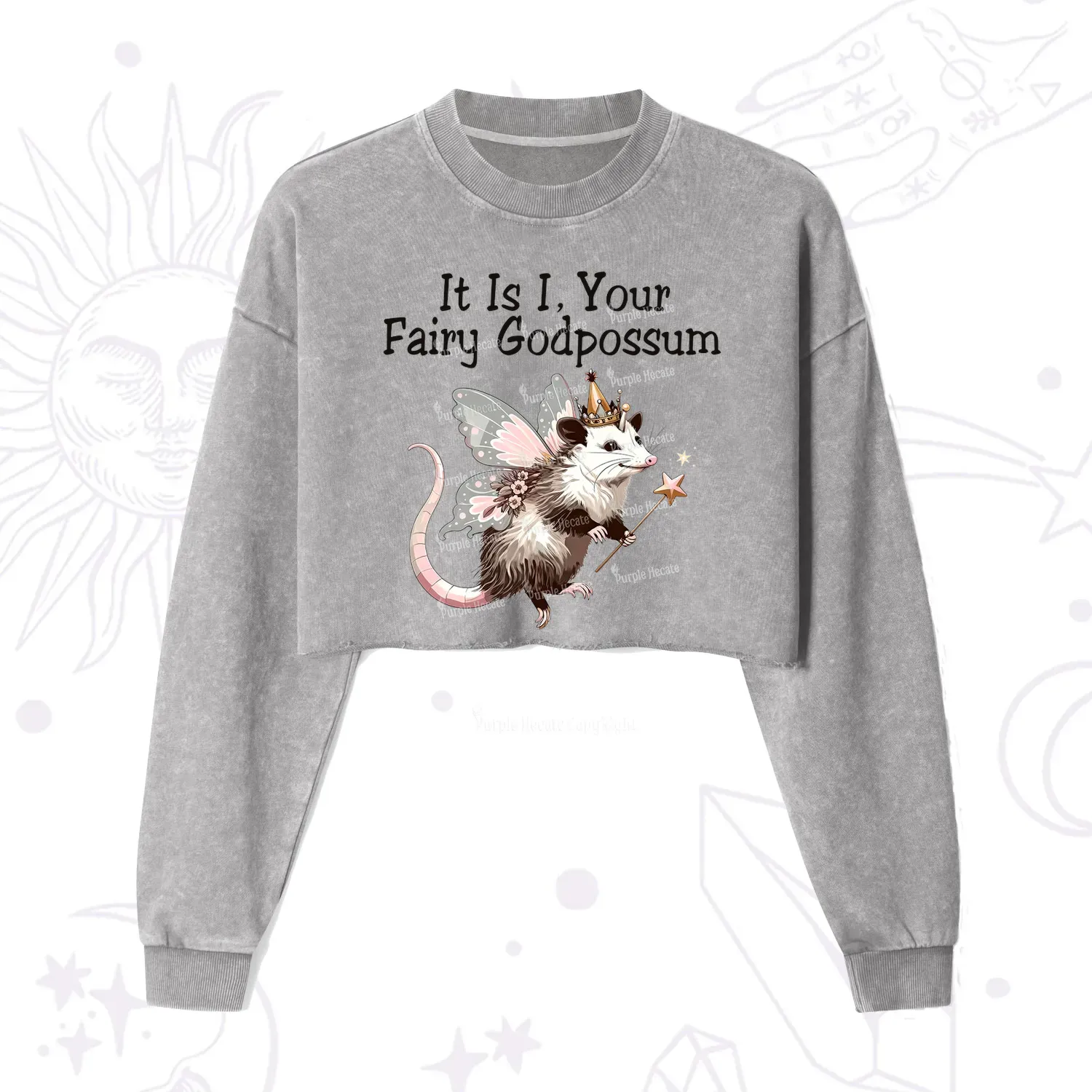 Purplehecate It Is I Your Fairy Godpossum Cropped Washed Sweatshirt