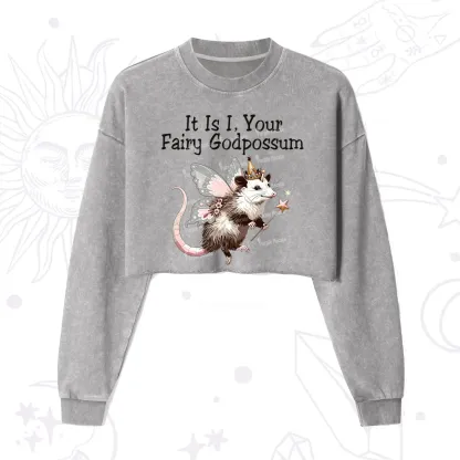 Purplehecate It Is I Your Fairy Godpossum Cropped Washed Sweatshirt