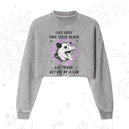 Purplehecate Live Ugly Fake Your Death Cropped Washed Sweatshirt