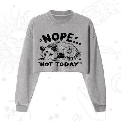 Purplehecate Not Today Possum Cropped Washed Sweatshirt
