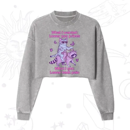 Purplehecate Lower Gas Prices Lower Back Pain Cat Cropped Washed Sweatshirt