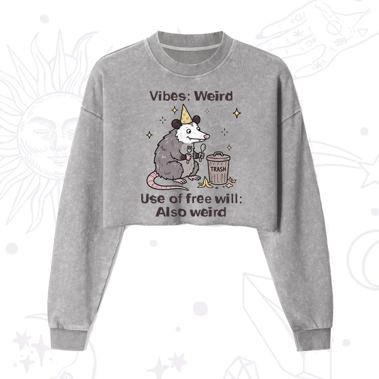 Purplehecate Weird Vibes Only Opossum Cropped Washed Sweatshirt