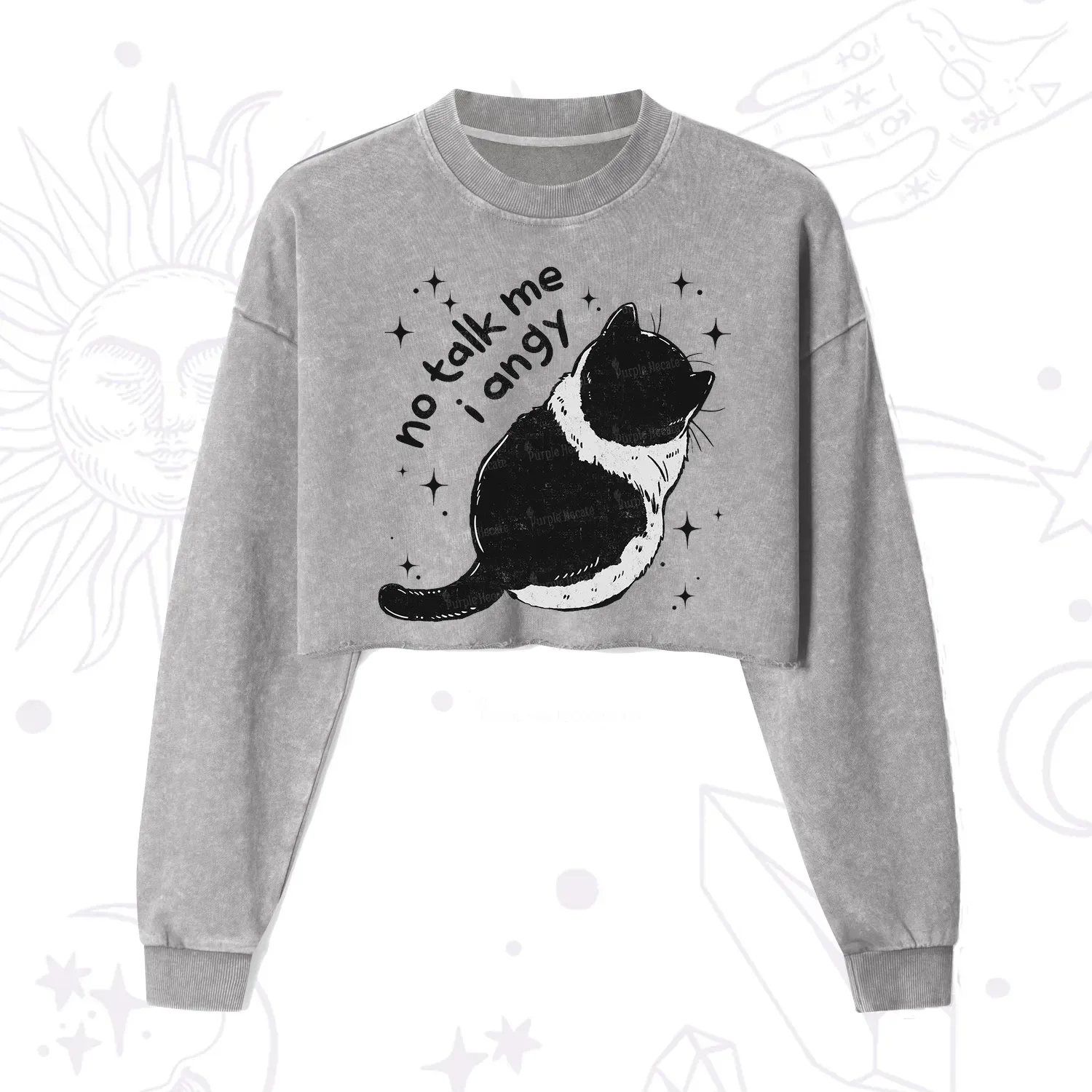 Purplehecate No Talk Me Im Angy Cat Cropped Washed Sweatshirt