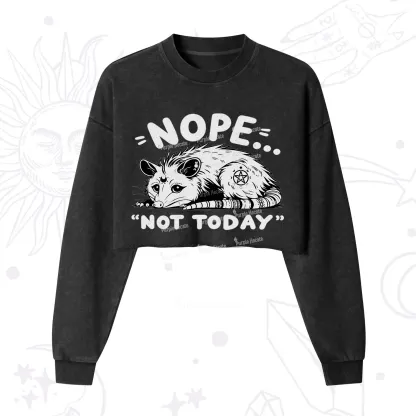 Purplehecate Not Today Possum Cropped Washed Sweatshirt