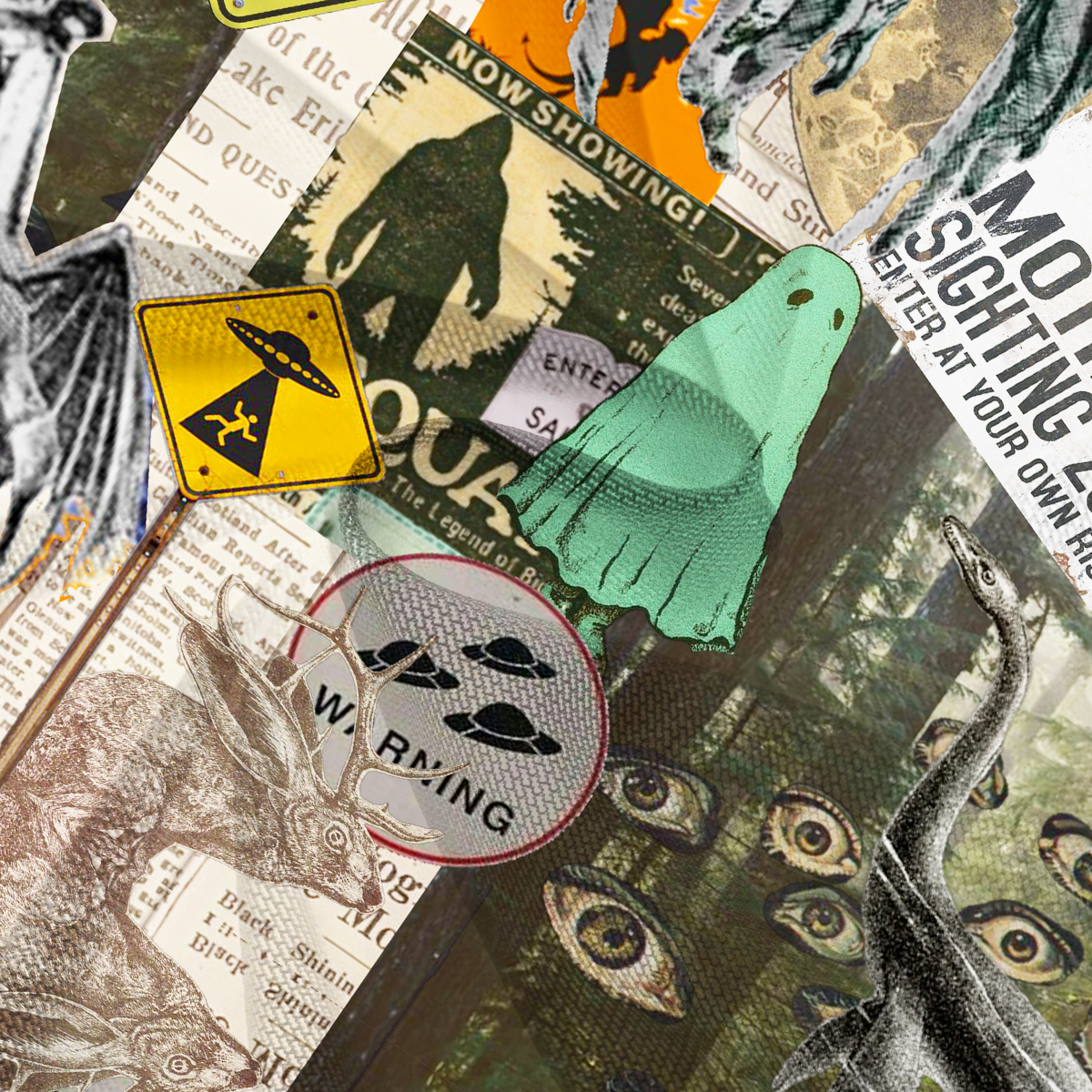 Purplehecate Cryptid Warning Collage Mesh Cover Up Dress