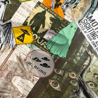 Purplehecate Cryptid Warning Collage Mesh Cover Up Dress