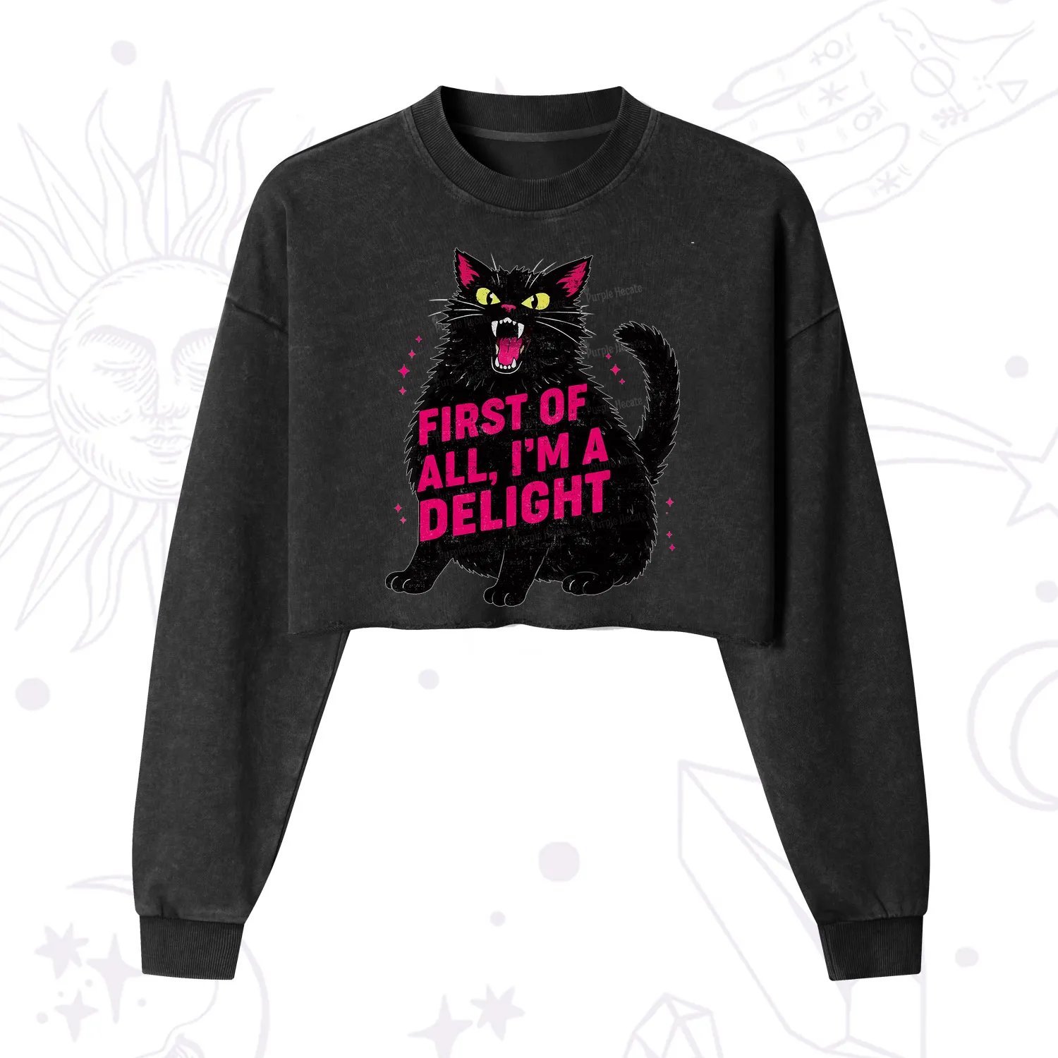 Purplehecate First Of All I'm A Delight Cat Cropped Washed Sweatshirt