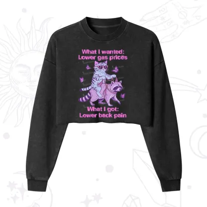 Purplehecate Lower Gas Prices Lower Back Pain Cat Cropped Washed Sweatshirt