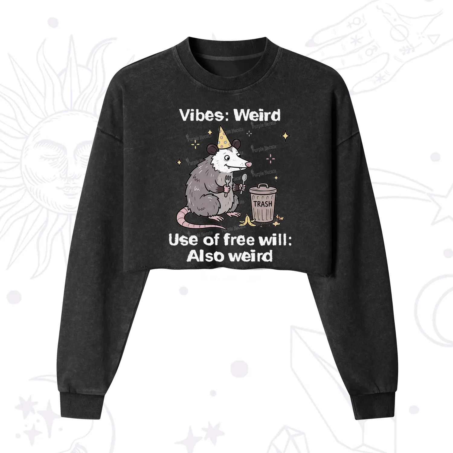 Purplehecate Weird Vibes Only Opossum Cropped Washed Sweatshirt