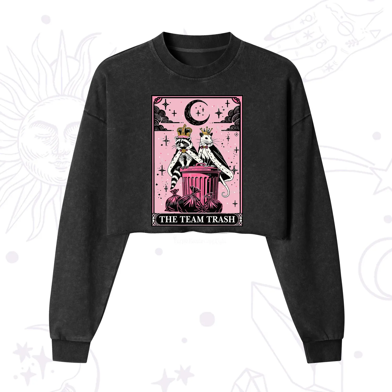 Purplehecate The Trash Kingdom's Tarot Opossum and Raccoon Cropped Washed Sweatshirt
