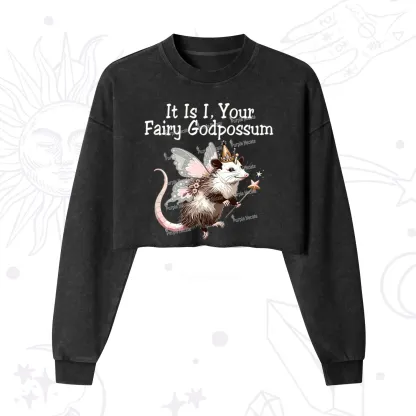 Purplehecate It Is I Your Fairy Godpossum Cropped Washed Sweatshirt