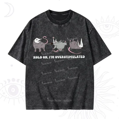 Purplehecate Hold On I'm Overstimulated Washed T-Shirt
