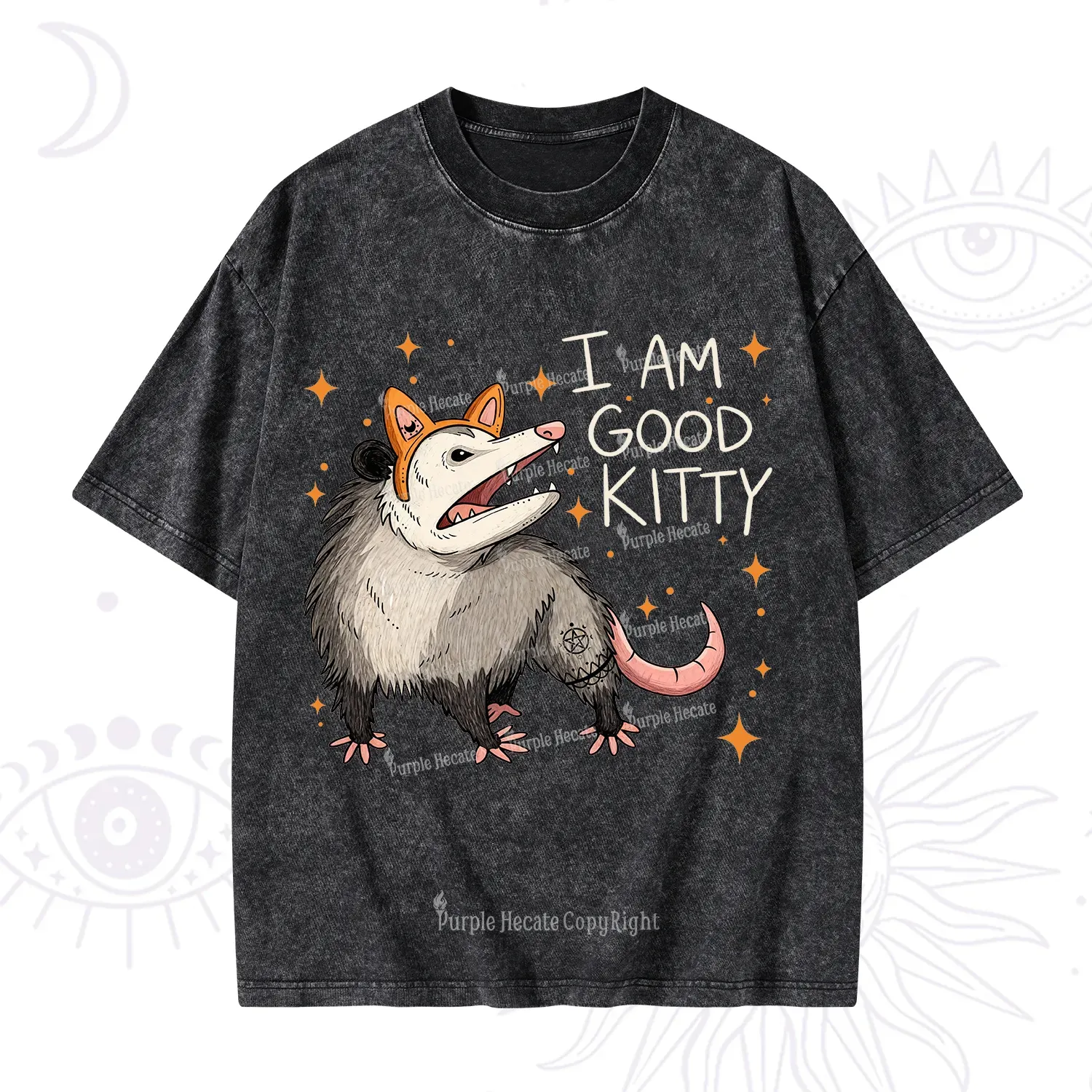 Purplehecate Funny Opossum I Am Good Kitty Washed T-Shirt