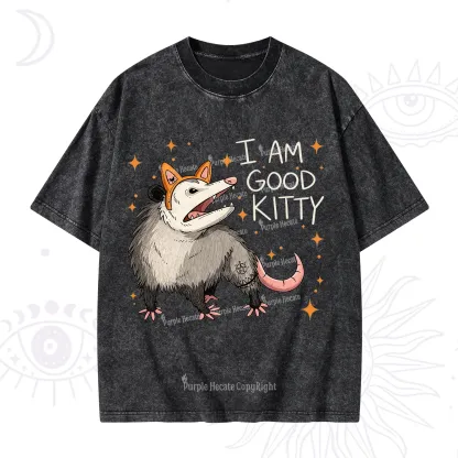Purplehecate Funny Opossum I Am Good Kitty Washed T-Shirt