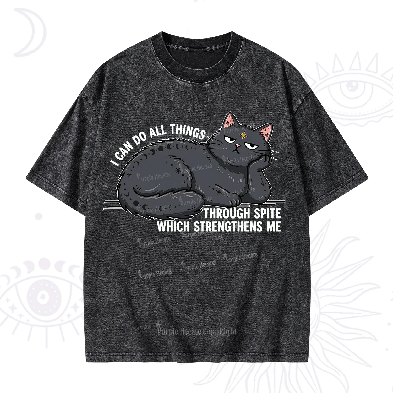 Purplehecate I Can Do All Things Spiteful Cat Washed T-Shirt