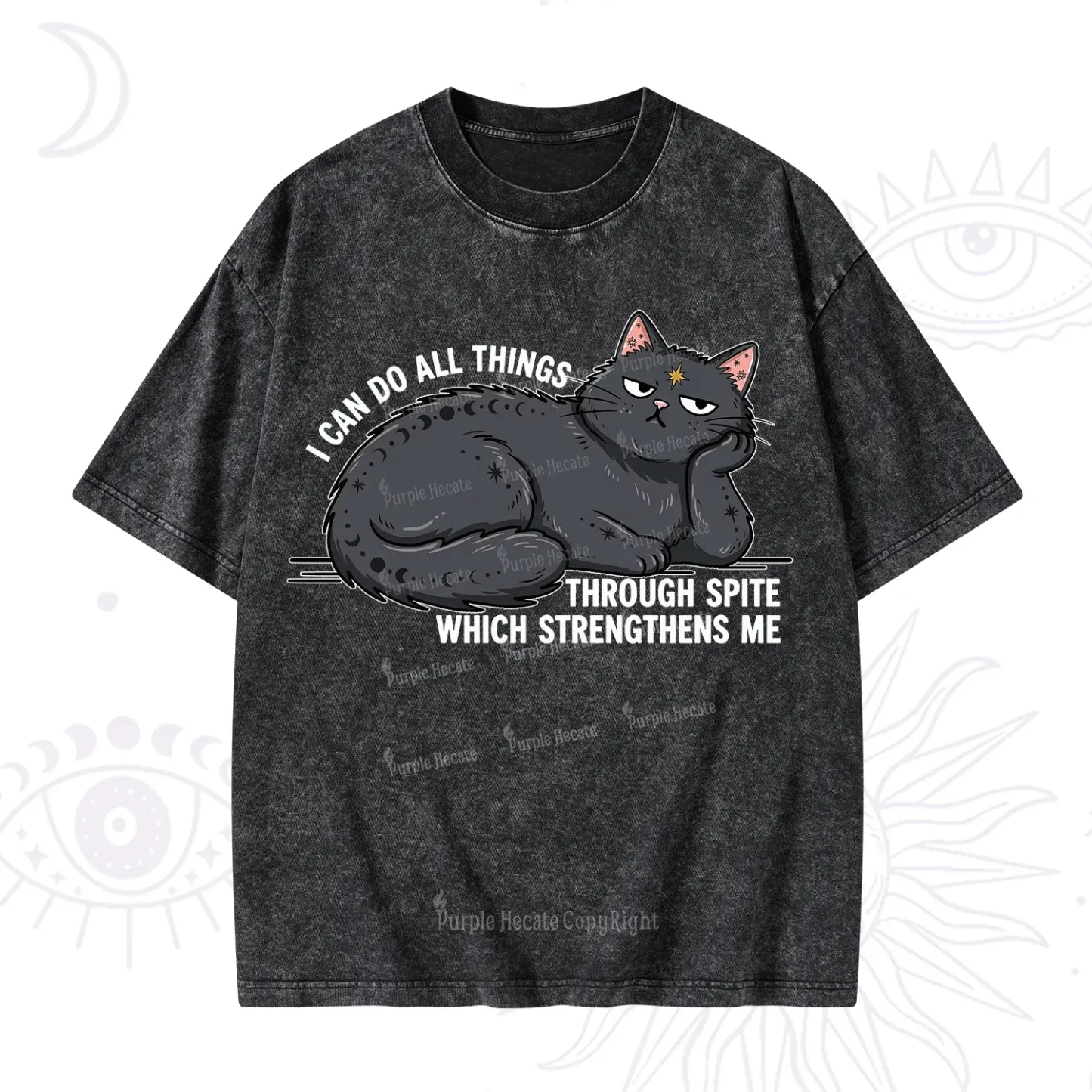Purplehecate I Can Do All Things Spiteful Cat Washed T-Shirt