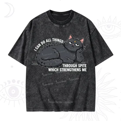 Purplehecate I Can Do All Things Spiteful Cat Washed T-Shirt