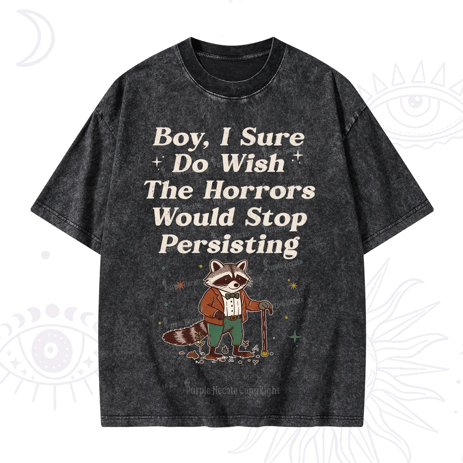 Purplehecate Raccoon Boy I Sure Do Wish The Horrors Would Stop Persisting Washed T-Shirt