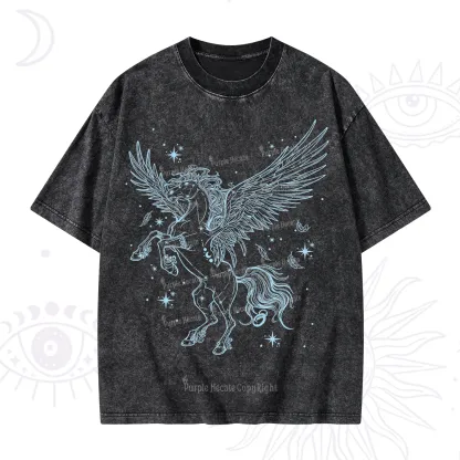 Purplehecate Celestial Pegasus Washed T-Shirt