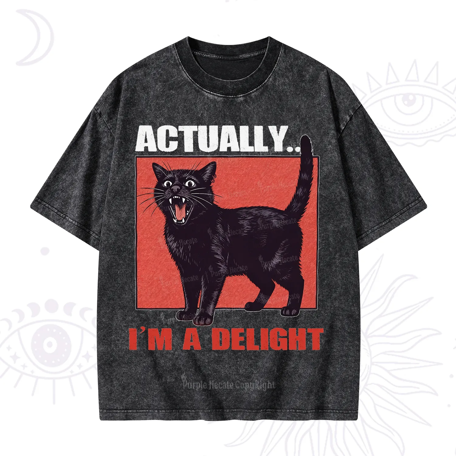 Purplehecate Actually Im a Delight Washed T-Shirt