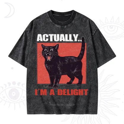 Purplehecate Actually Im a Delight Washed T-Shirt
