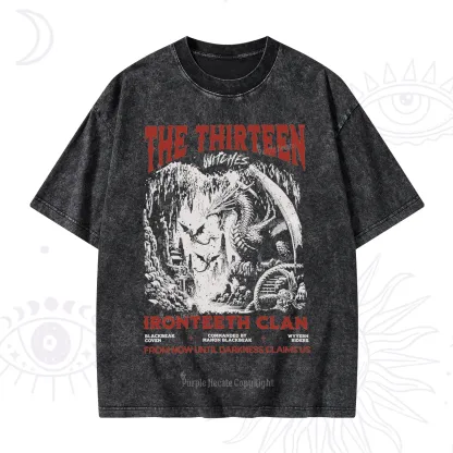 Purplehecate Thirteen Winged Sisters Washed T-Shirt