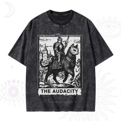 Purplehecate The Audacity Knight Cat Washed T-Shirt