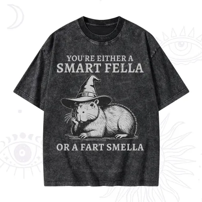 Purplehecate You're Either A Smart Fella or a Smart Fella Washed T-Shirt