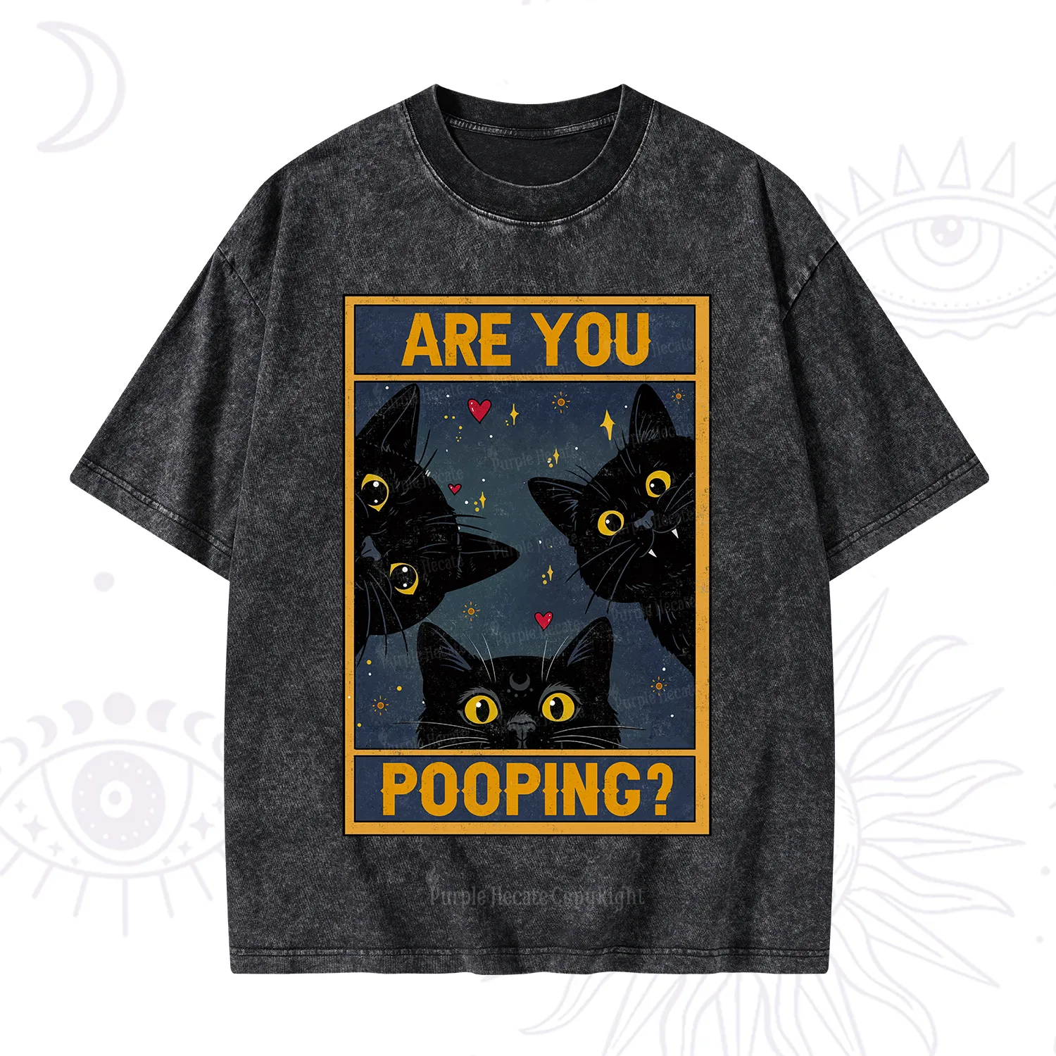 Purplehecate Funny Black Cat Are You Pooping Washed T-Shirt