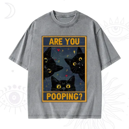 Purplehecate Funny Black Cat Are You Pooping Washed T-Shirt