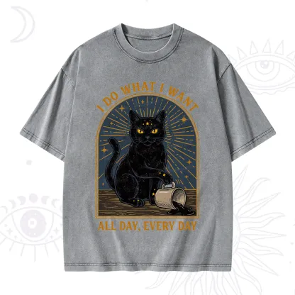 Purplehecate I Do What I What All Day Washed T-Shirt