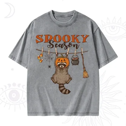 Purplehecate Spooky Season Washed T-Shirt