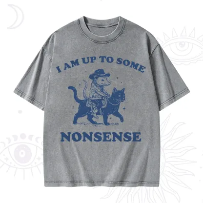 Purplehecate I Am Up To Some Nonsense Opossum Washed T-Shirt