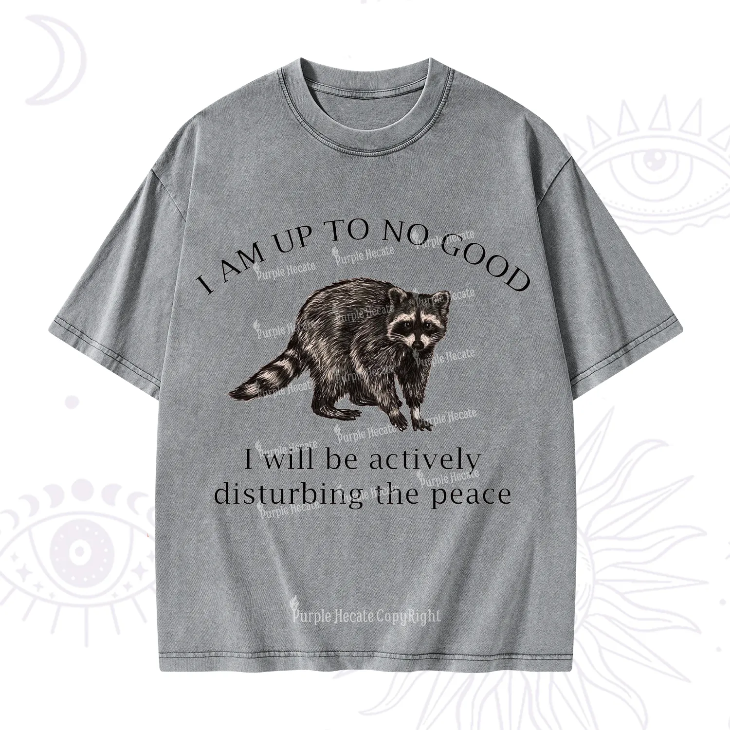 Purplehecate Trash Raccoon Backyard Wildlife Washed T-Shirt