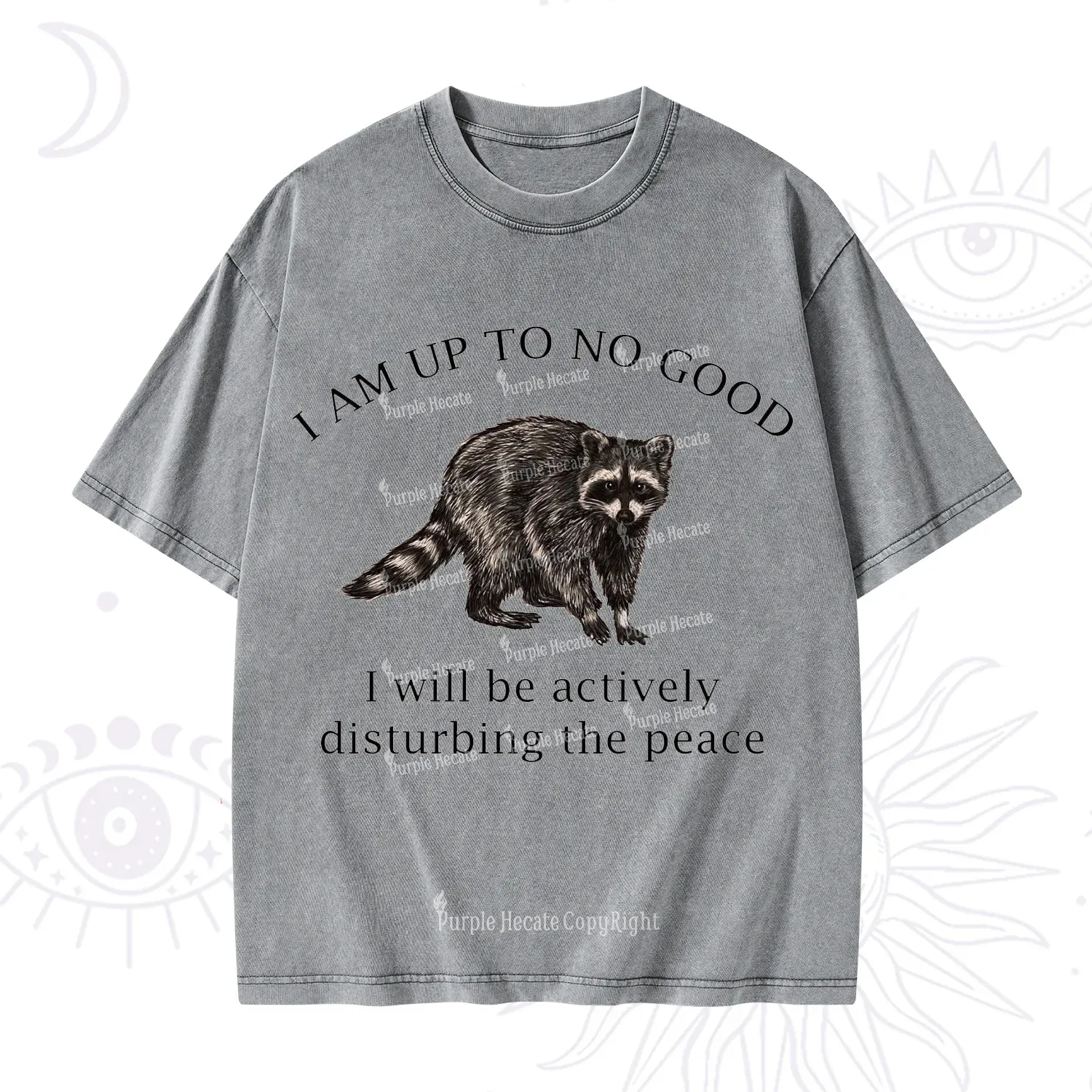 Purplehecate Trash Raccoon Backyard Wildlife Washed T-Shirt