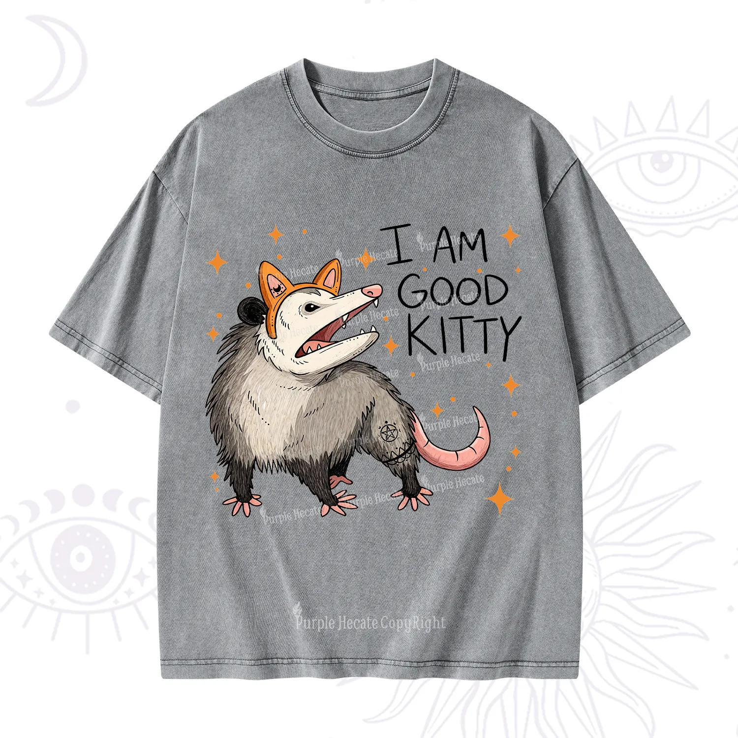 Purplehecate Funny Opossum I Am Good Kitty Washed T-Shirt
