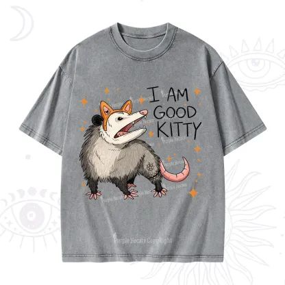 Purplehecate Funny Opossum I Am Good Kitty Washed T-Shirt