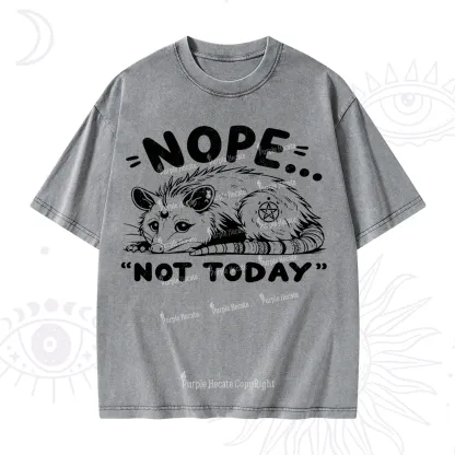 Purplehecate Not Today Possum Washed T-Shirt