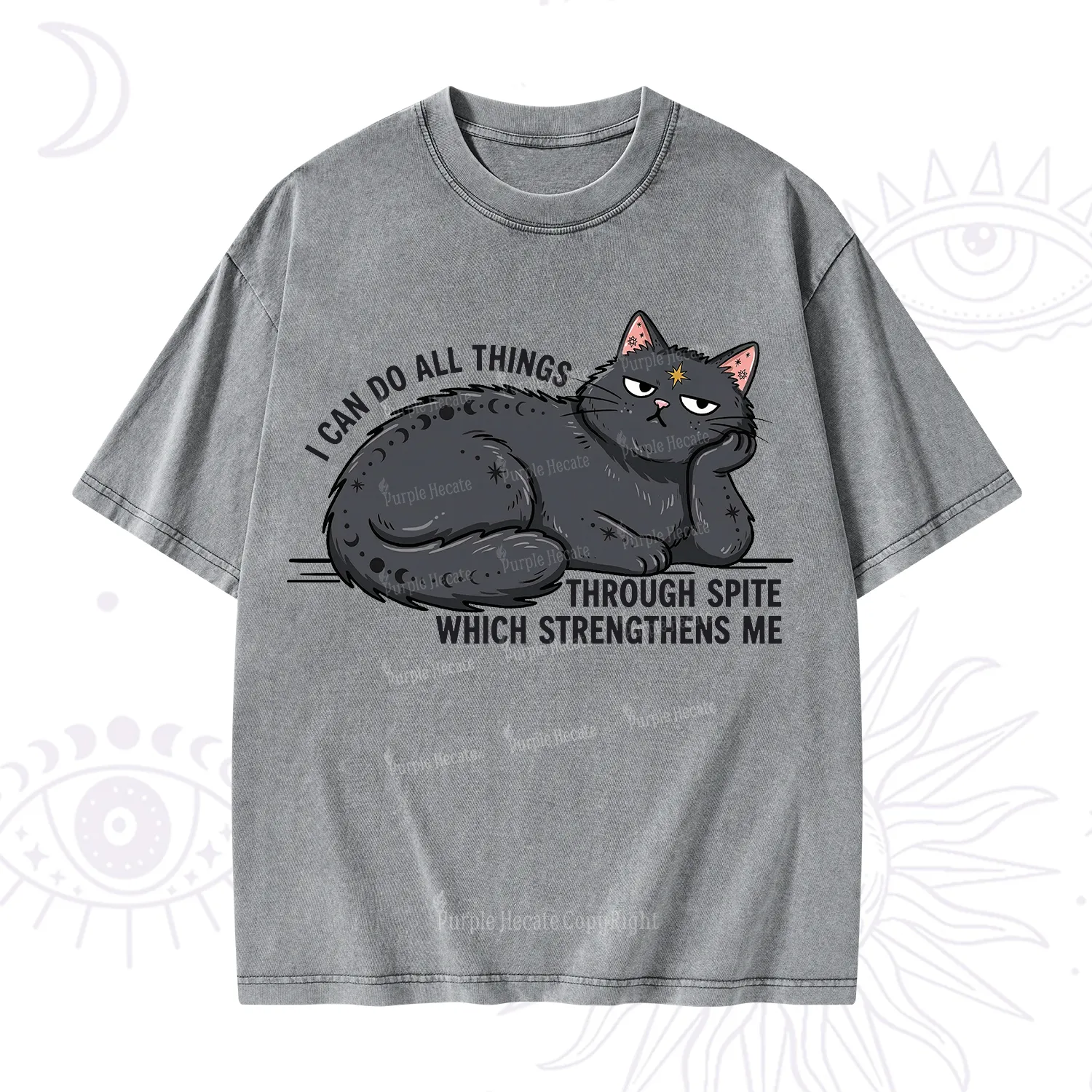 Purplehecate I Can Do All Things Spiteful Cat Washed T-Shirt