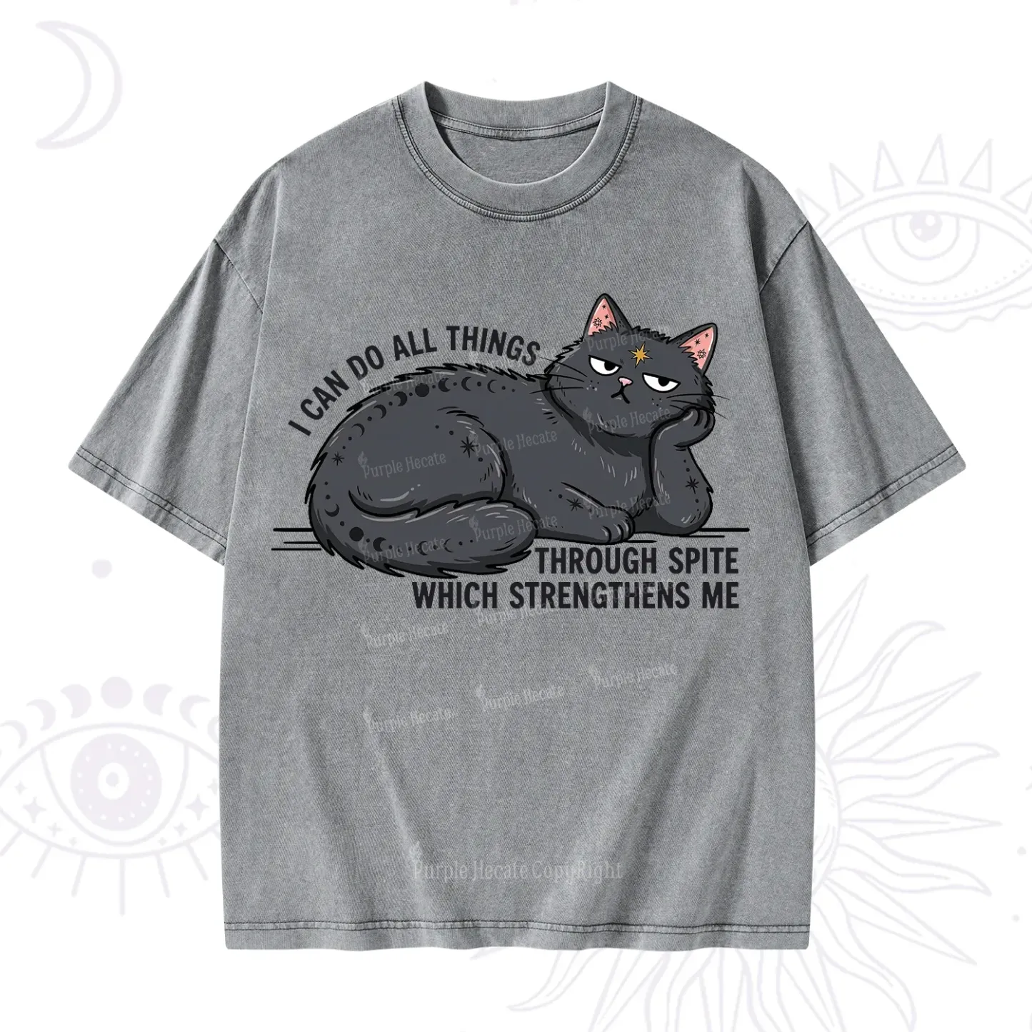 Purplehecate I Can Do All Things Spiteful Cat Washed T-Shirt
