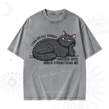 Purplehecate I Can Do All Things Spiteful Cat Washed T-Shirt