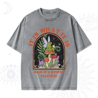 Purplehecate It Is What It Is Washed T-Shirt