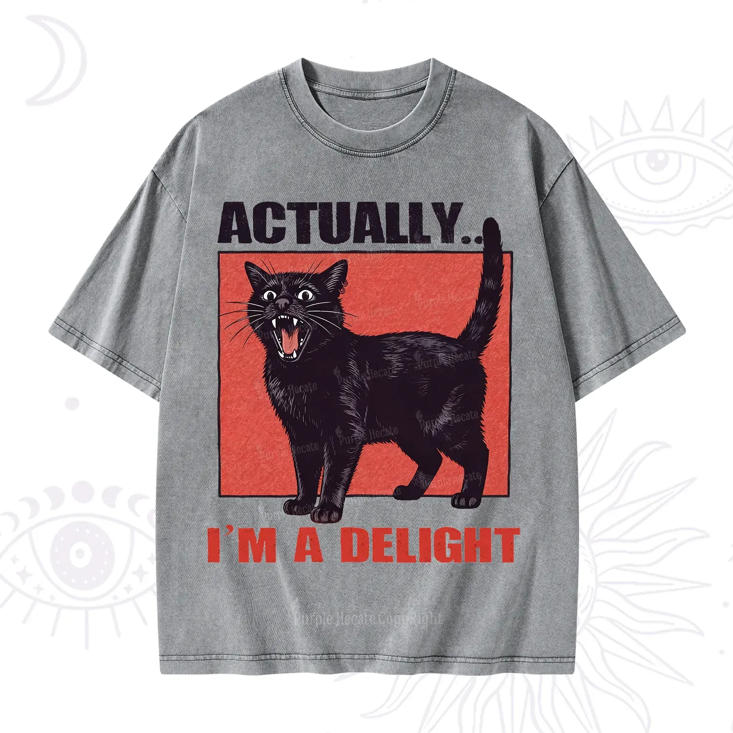 Purplehecate Actually Im a Delight Washed T-Shirt